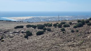 2024-02-GranCan-Playa Del Aguila-Trek-61.jpg